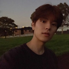 Novel stray kids