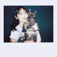 meenoi(미노이) – 서울택시