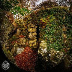 Descent Into the Canyon