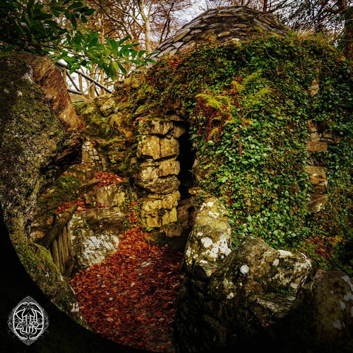 Descent Into the Canyon