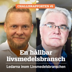 Challisrapporten 5: Vad är avgörande när vi ska arbeta med hållbarhet?