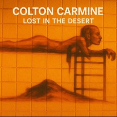Lost in the Desert