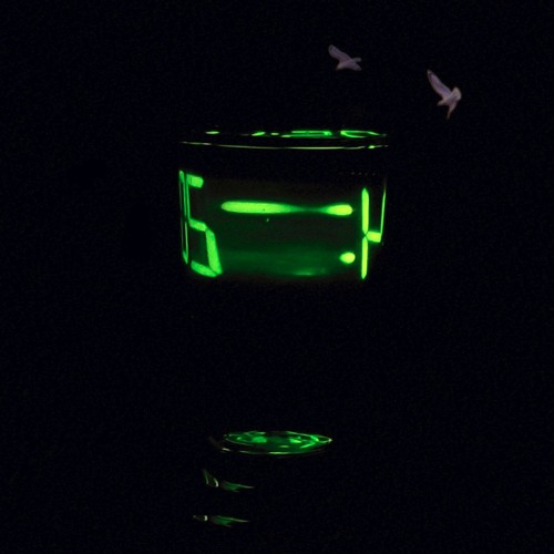 mind_spice