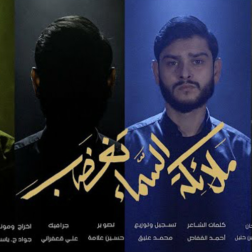 ملائكة السماء تغضب _ الرادود محمد حسين خليل