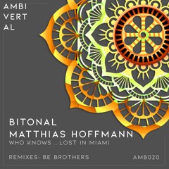 Bitonal & Matthias Hoffman - Who Knows...Lost In Miami (Original Mix) / Preview
