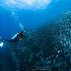 Chain-B’s Interlude (Instrumental)