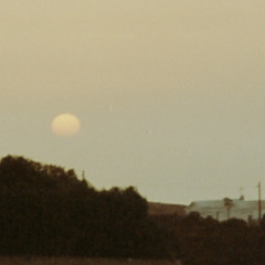 Passing Ships (2024)