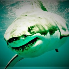 Maneater In G (instrumental cover)