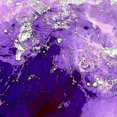 Vanessa Pettendorfer & Bruno Gussoni - adventus