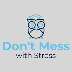 Don't Mess with Stress (Original Mix)