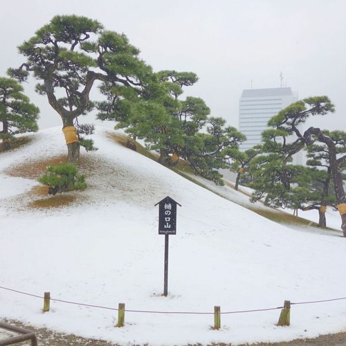 ⛩️altjp.dlc₊˚｡❆⋆｡˚₊ -7°C but in Place, JP⛩️