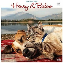 [eBook] ⚡️ DOWNLOAD Henry & Baloo - Our Wild Tails 2020 12 x 12 Inch Monthly Square Wall Calenda