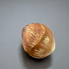 Mariners Revenge Gjuitar Cover