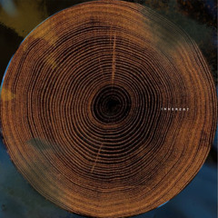 Indefinite Pitch PREMIERES. Inherent - Chiarore [Circular Limited]