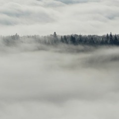 Phluxx - Machine Talk