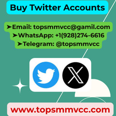 Best Platforms to Buy Twitter Accounts in 2025