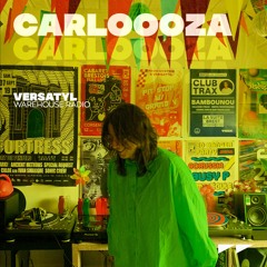Warehouse Heroes #6 - Carloooza (Versatyl)