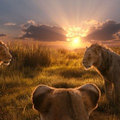 Xem Mufasa: Vua Sư Tử Phim Full HD 2024 Việtsub - Trực Tuyến Miễn Phí