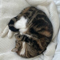 Nebulah Radio - Blond Platine 04