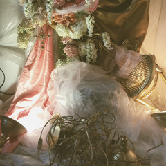 STUMP • LINGUA IGNOTA / KRISTIN HAYTER