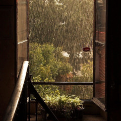 صوت المطر للاسترخاء - ساعة كاملة - Relaxing Rain⁩.🌧🦋