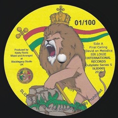 SLID005 Last Calling/Dub Calling Hand Cut Poly Vinyl Dubplate Series 5 PROMO