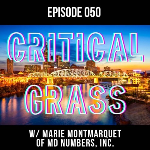 Ep. 050 - Marie Montmarque of MD Numbers, Inc.