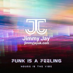Funk Is A Feeling House Is The Vibe (Radio Demo)