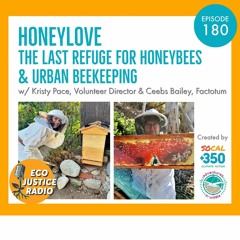 HoneyLove: The Last Refuge for Honeybees & Urban Beekeeping
