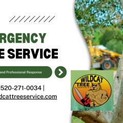 Emergency Tree Services Green Valley AZ