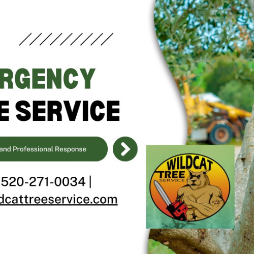 Emergency Tree Services Green Valley AZ