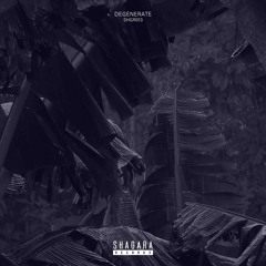 PREMIERE: DrS - Running In Parallel (Original Mix) [Shagara Records]