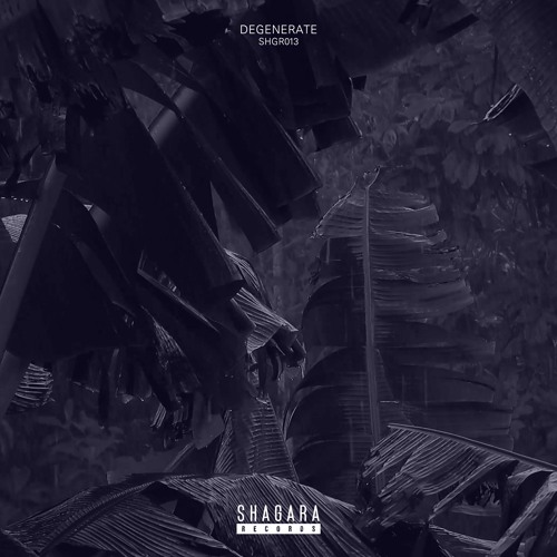 PREMIERE: DrS - Running In Parallel (Original Mix) [Shagara Records]