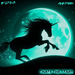 Rizadia & Amation - Chase The Stars