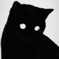 Chat noir (prod. L.O.X.)