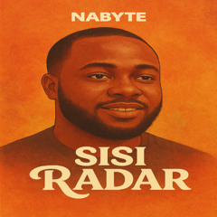 Sisi Radar