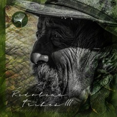 Redolent Tribes Vol.3 curated by DJ Chus