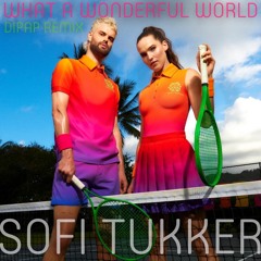 SOFI TUKKER - What A Wonderful World (DiPap Remix){FREE DOWNLOAD}