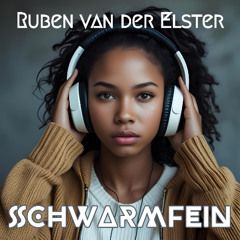 SchwarmFein