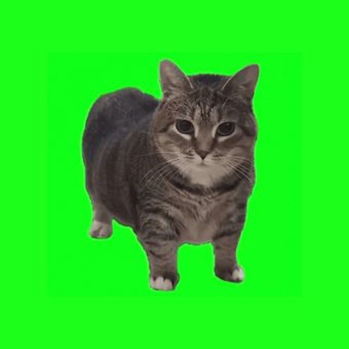 OIIA OIIA (Spinning Cat) - W&W Oiiai, oiiai Oiiai, oiiai Oiiai, oiiai, oiiai, oiiai