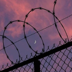 you broke me first [100 followers]