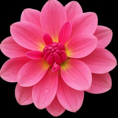 TIMFTW - BREATH | Melodic House & Techno Mix