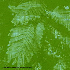 hayk karoyi - sweet love [merouj drum edit] *preview