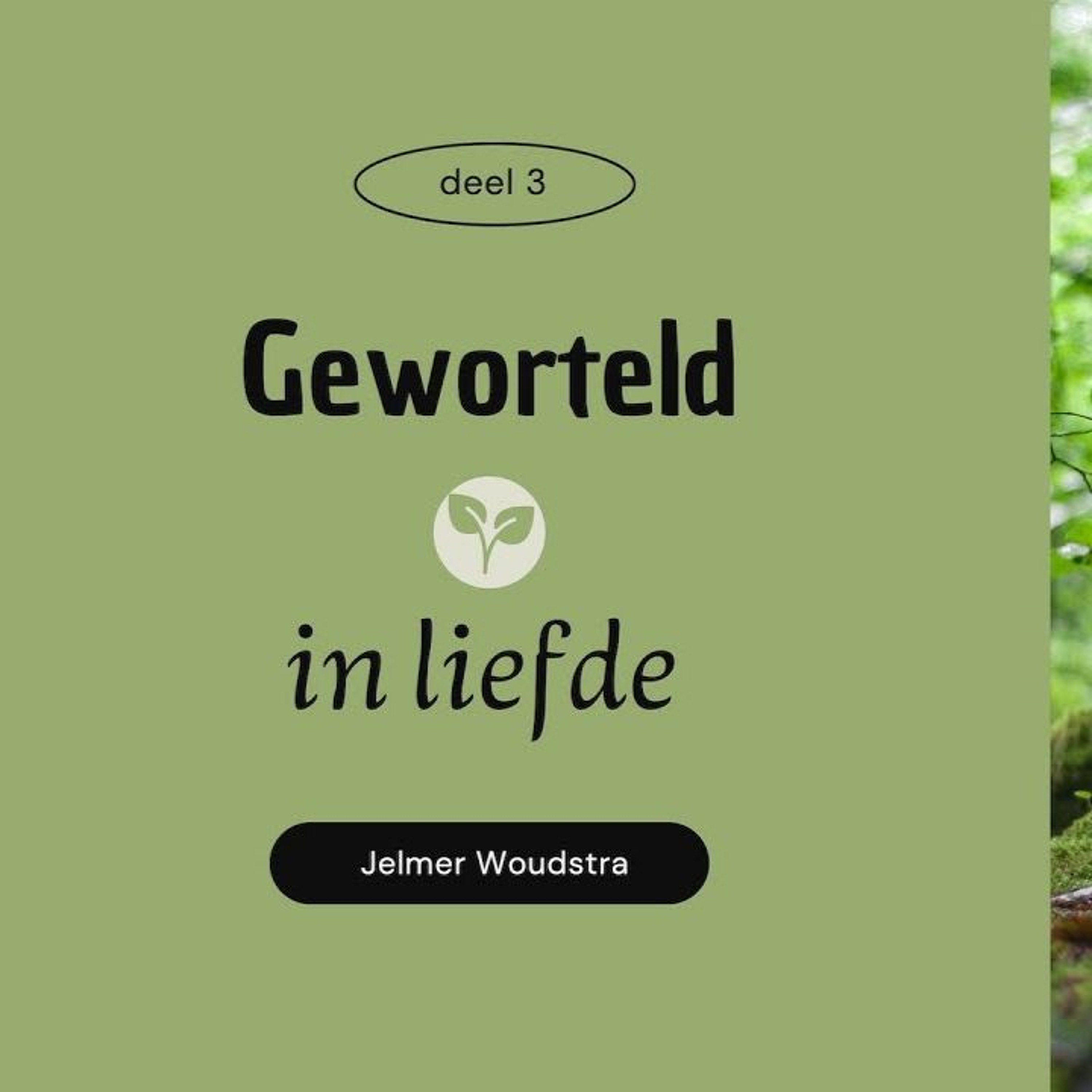 Jelmer Woudstra | Geworteld In Liefde | 16-06-2024 episode artwork