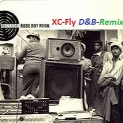 Lionrock - "Rude Boy Rock" (DnB-Remix)