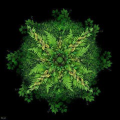 Digital Shamans Records Live Streaming April 30th, 2020