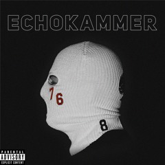 Echokammer