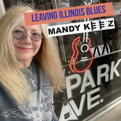 LEAVING ILLINOIS BLUES
