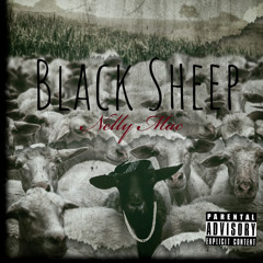 NELLY MAC (BLACK SHEEP)