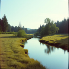 Honest Hearts (My Everyday with You)